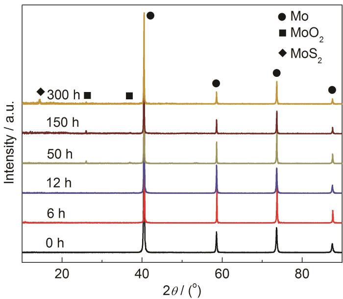 F2049E8E-BC38-4ae2-932A-9B60DC4DA924-F002.jpg