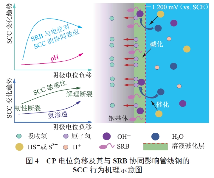 埋地油气管道腐蚀失效研究进展及思考