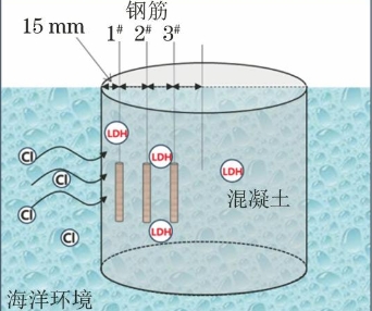 海洋环境中CaAl-LDH对钢筋混凝土寿命的影响